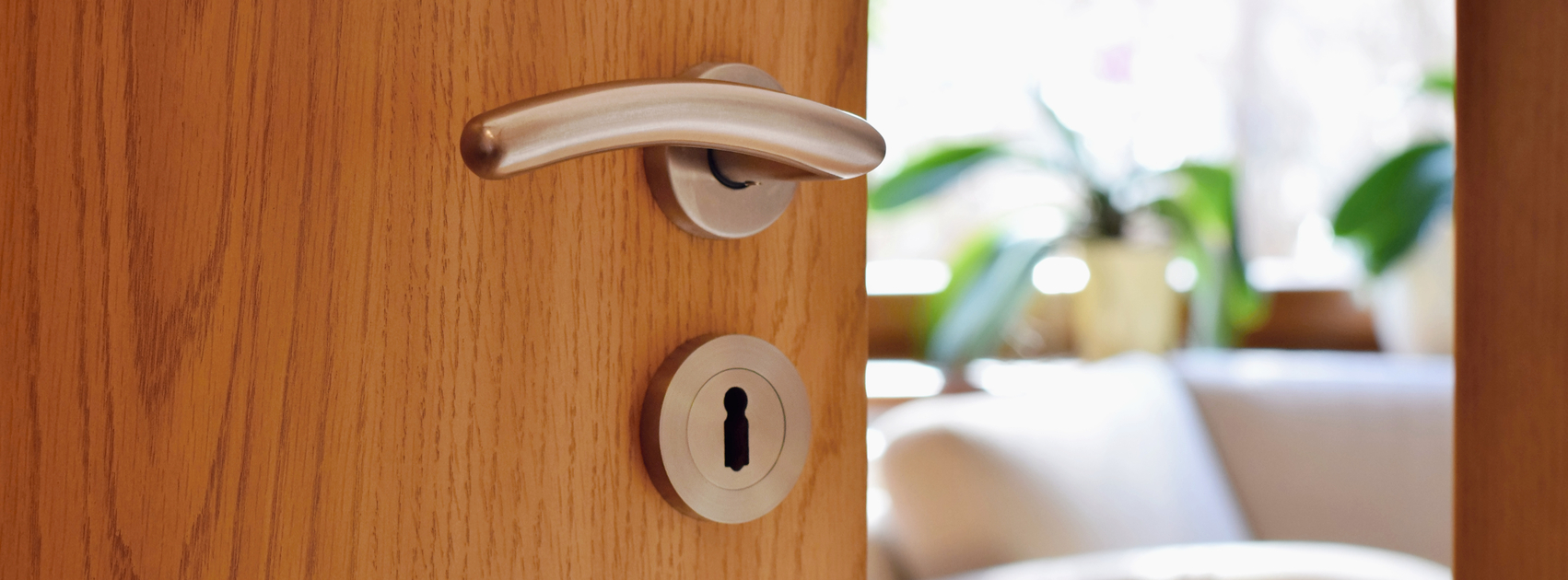 Let Your Senses Guide the Way